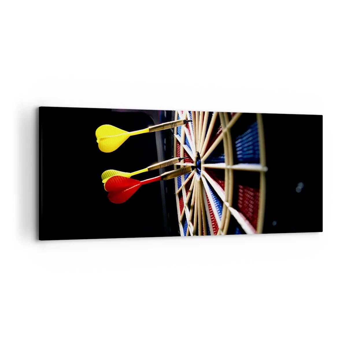 Schilderen op canvas - De spikerop de kop - 120x50 cm