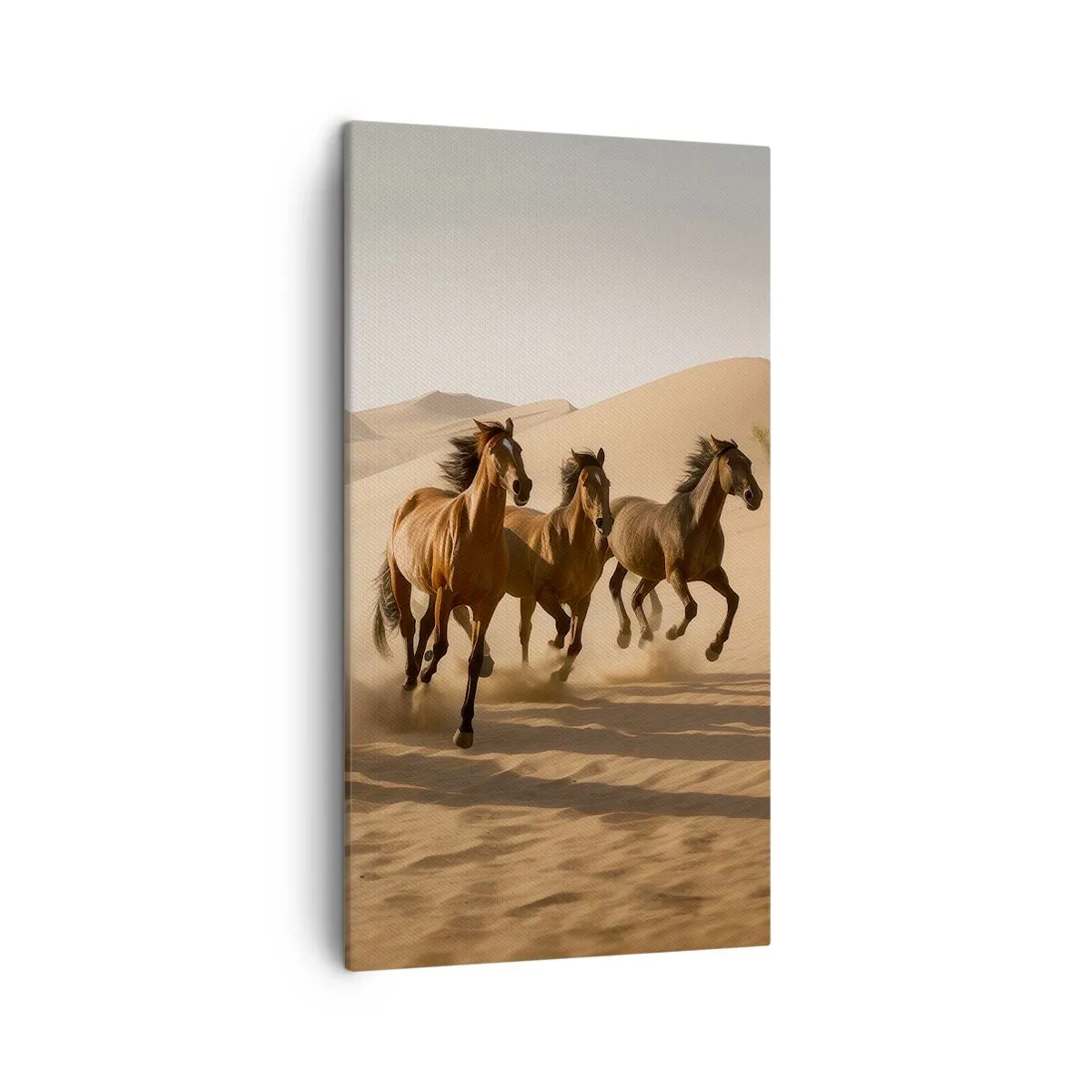 Schilderen op canvas - Vrij als de wind - 45x80 cm