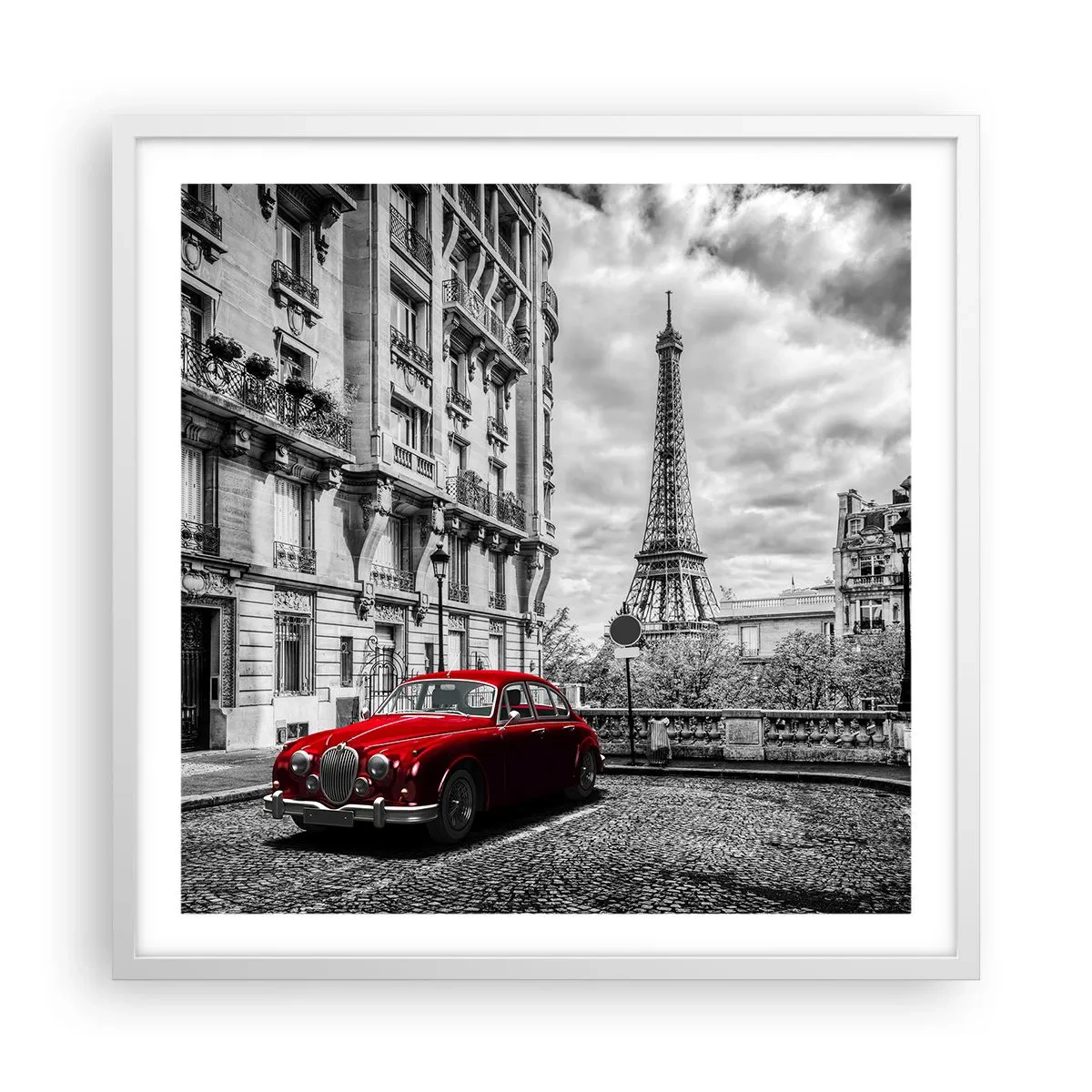 Poster in een witte lijst - Roofdier in de stad - 60x60 cm