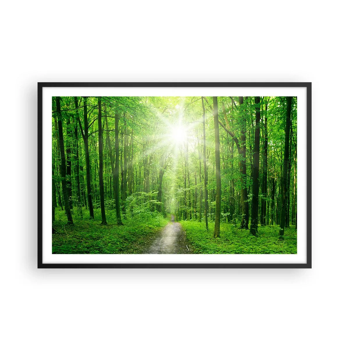 Poster in een zwarte lijst - De groene kathedraal - 91x61 cm