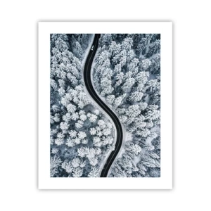 Poster - Door het winterbos - 40x50 cm