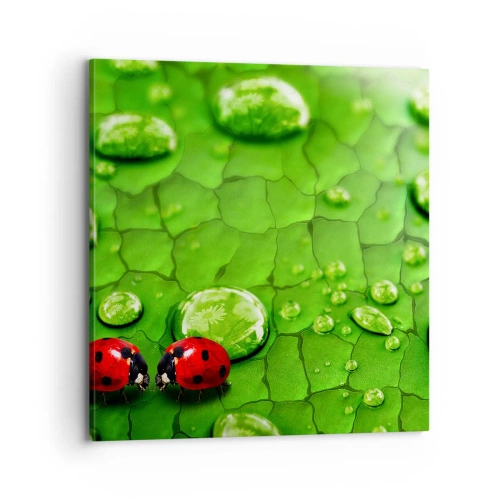 Schilderen op canvas - Ontmoeting in het groen - 70x70 cm