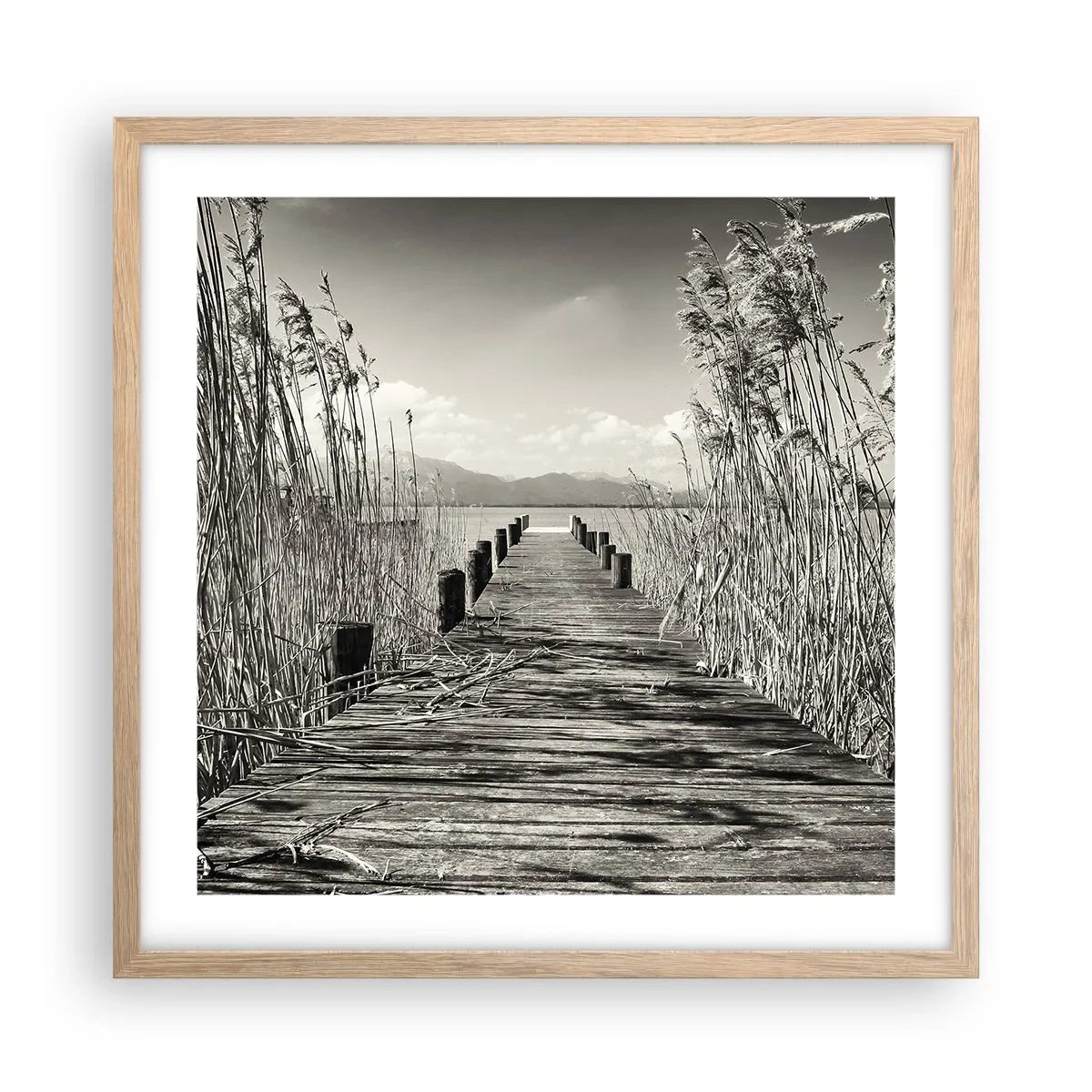 Een poster in een licht eiken lijst - In de stilte van het gras - 50x50 cm