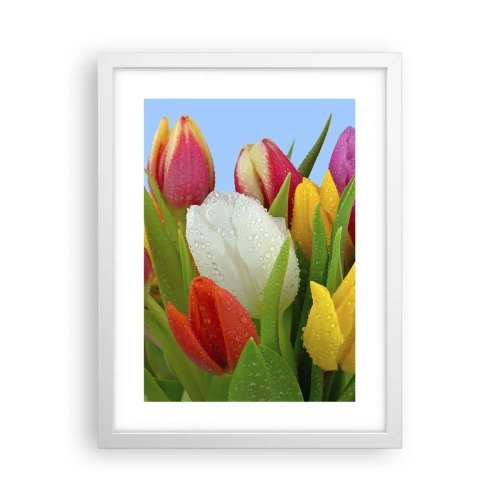 Poster in een witte lijst - Een bloemenregenboog in dauwdruppels - 30x40 cm