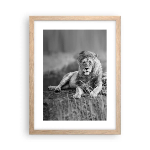 Een poster in een licht eiken lijst - Koninklijke siësta - 30x40 cm