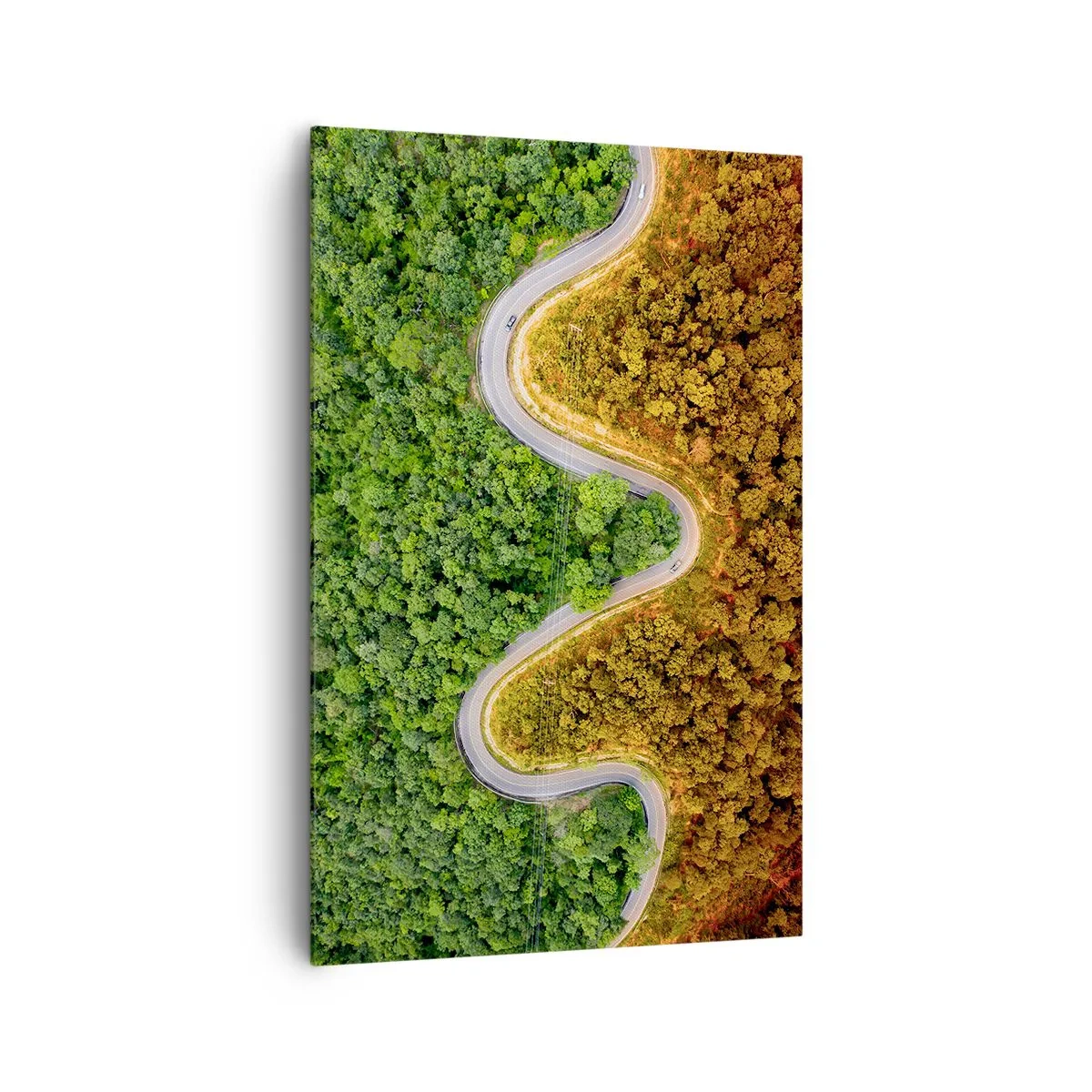 Schilderen op canvas - Grenzen en doorbraken - 80x120 cm