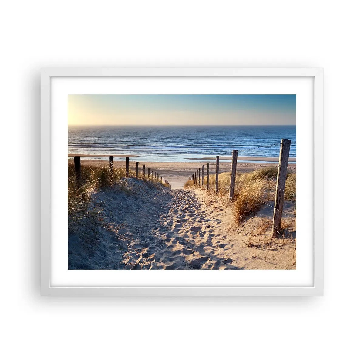 Poster in een witte lijst - Het geluid van de zee, het zingen van vogels, een wild strand tussen het gras... - 50x40 cm