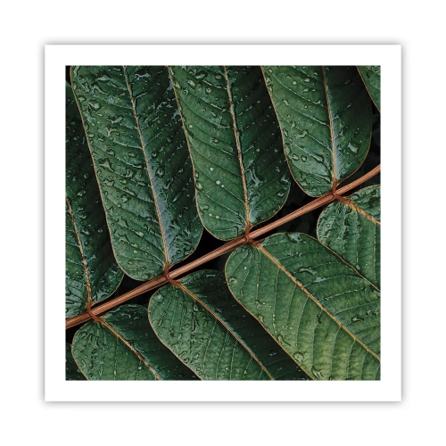Poster - In een groen ritme - 60x60 cm