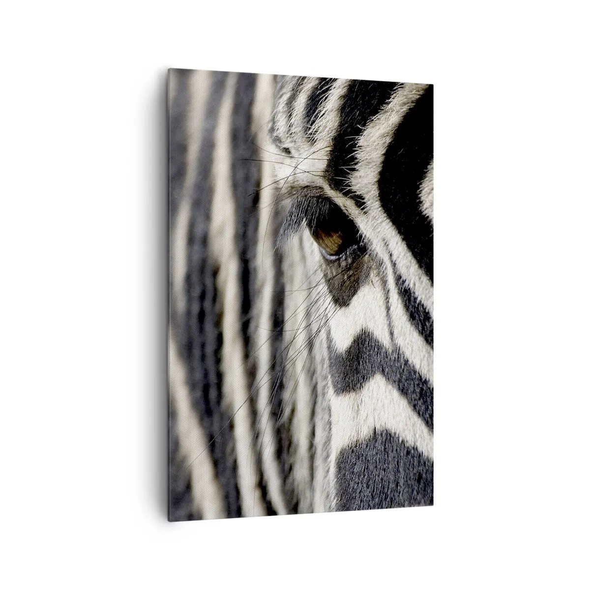 Schilderen op canvas - Gestreept portret - 80x120 cm