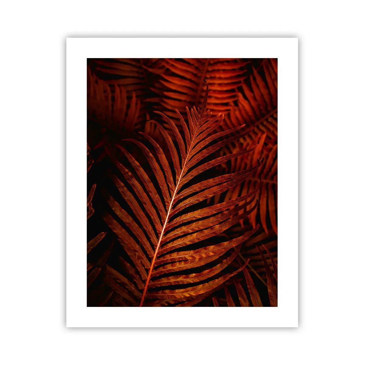 Poster - De hitte van het leven - 40x50 cm