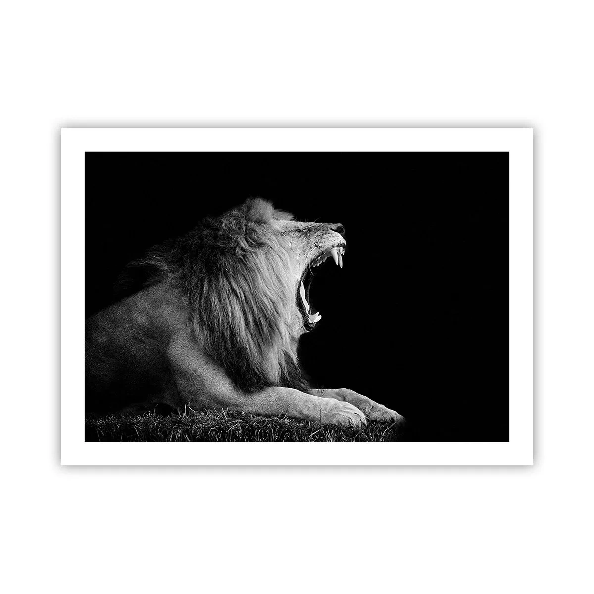 Poster - Zonder enige twijfel - 70x50 cm