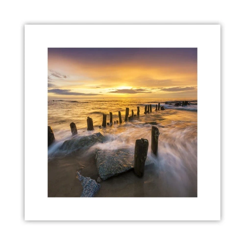 Poster - De rauwe schoonheid van de Oostzee - 30x30 cm