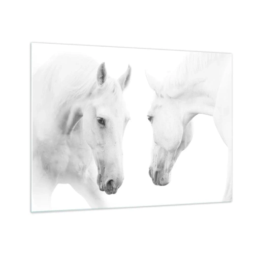 Schilderen op glas - Twee witte paarden tegenover elkaar tegen een lichte achtergrond - 70x50cm - Is dit vriendschap...? - Moderne wanddecoratie voor woonkamer en slaapkamer ARTTOR