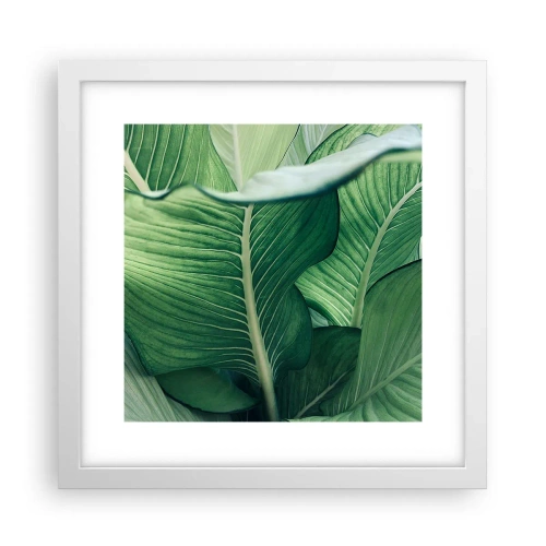 Poster in een witte lijst - Intens groen leven - 30x30 cm