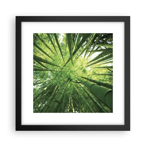 Poster in een zwarte lijst - In een bamboebos - 30x30 cm