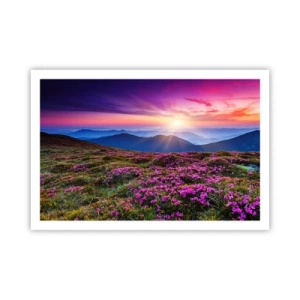 Poster - Kruiden roken naar verse trossen van de velden - 91x61 cm