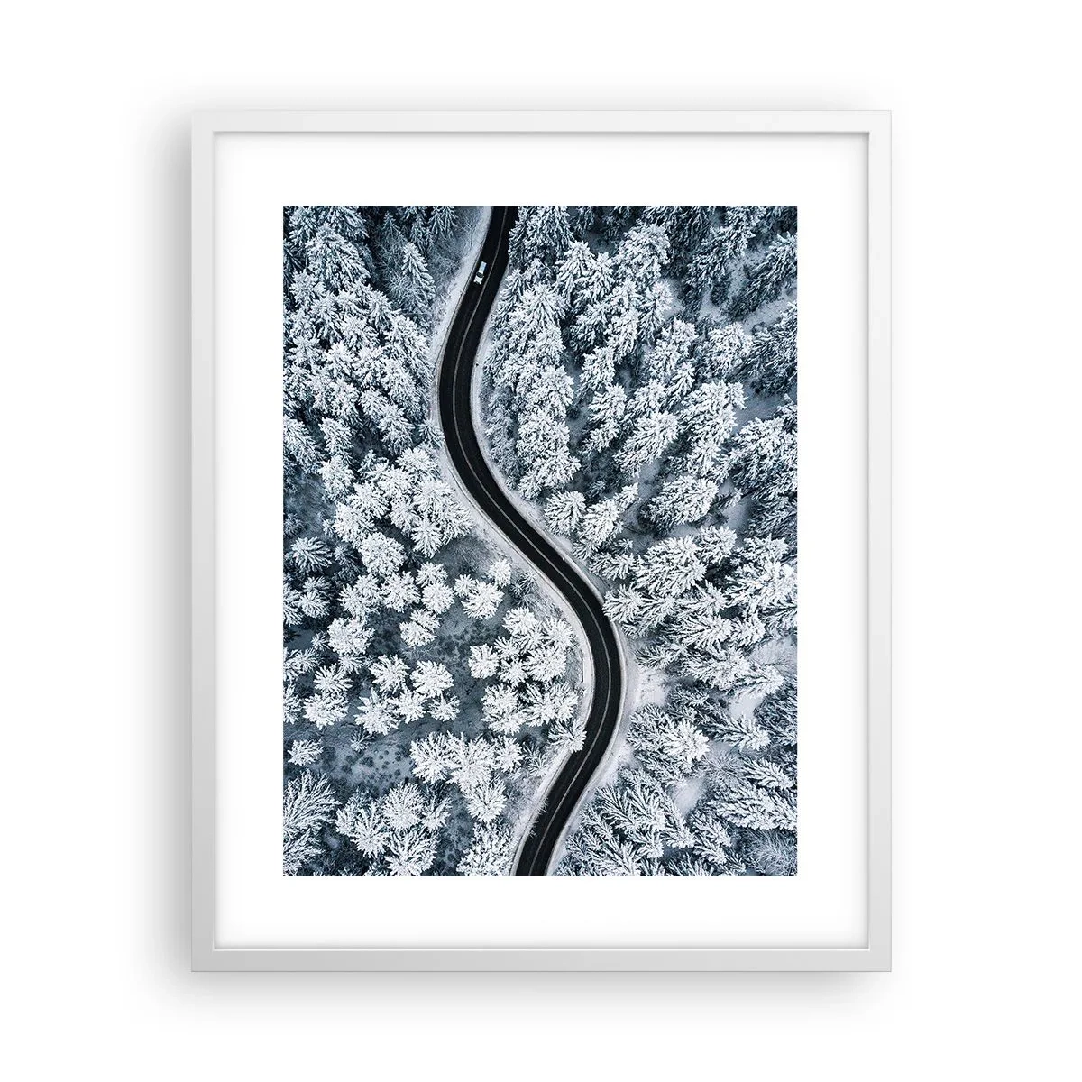 Poster in een witte lijst - Door het winterbos - 40x50 cm