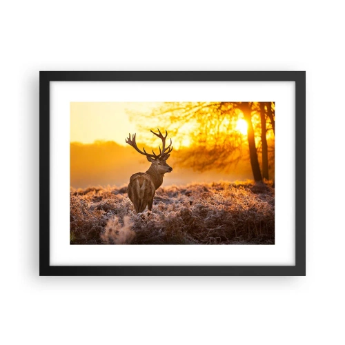 Poster in een zwarte lijst - Koning van het herfstbos - 40x30 cm