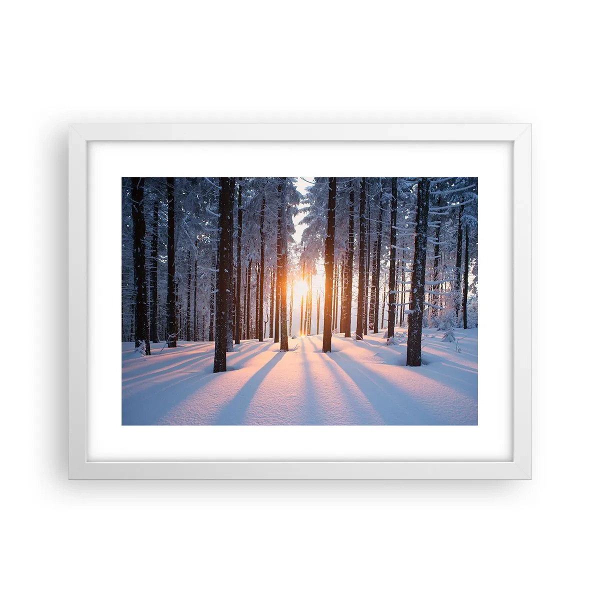 Poster in een witte lijst - Duidelijk in zwart-wit - 40x30 cm