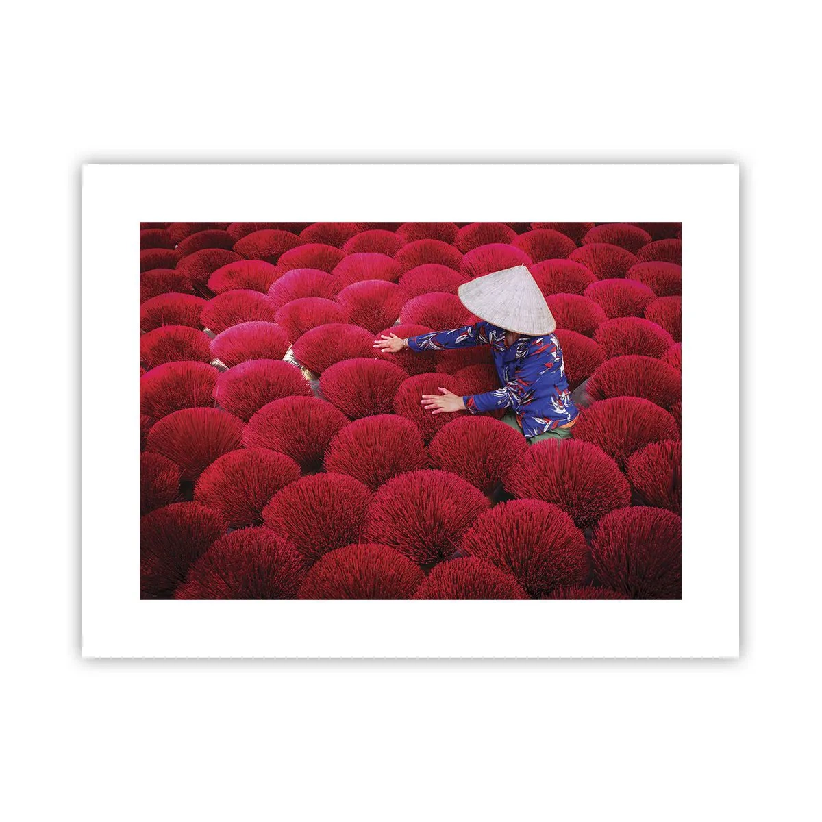 Poster - In het rijstveld - 40x30 cm