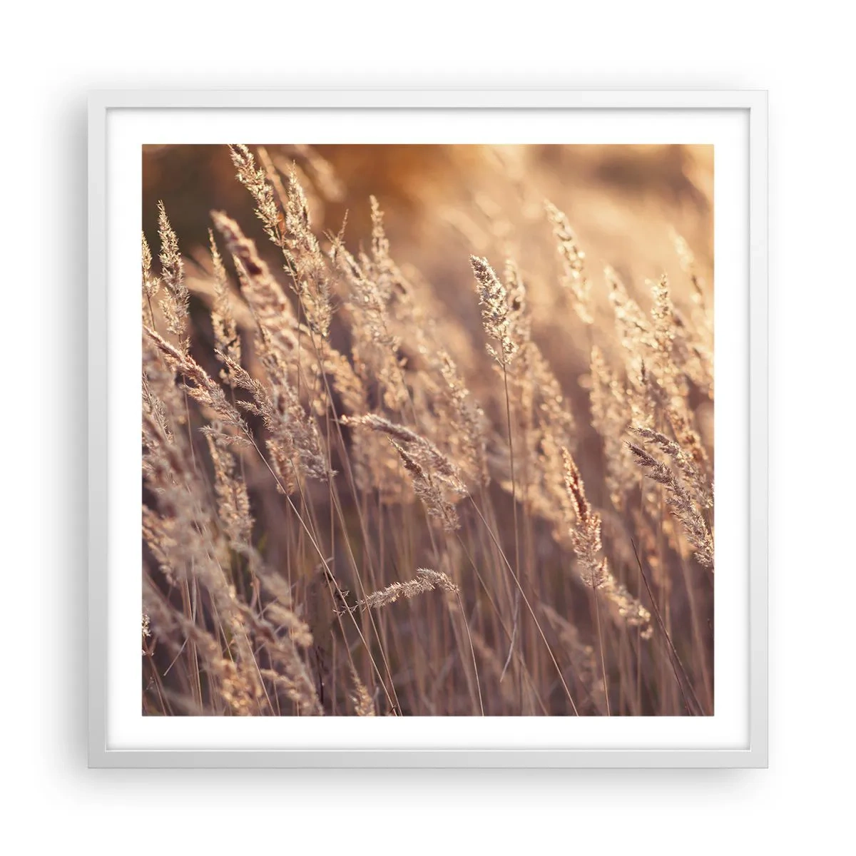 Poster in een witte lijst - Klaar om de herfst te verwelkomen - 60x60 cm