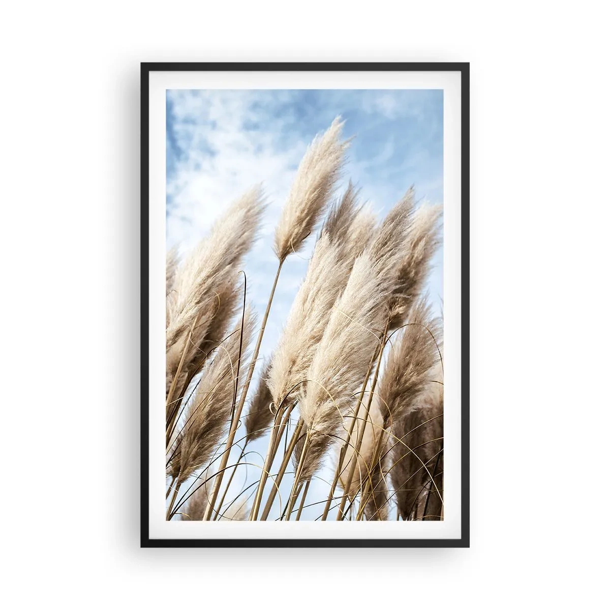 Poster in een zwarte lijst - Zonnige en winderige streling - 61x91 cm
