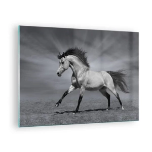 Schilderen op glas - Een zwart-witfoto van een galopperend paard in een open veld. - 70x50cm - Geboren om te genieten - Moderne wanddecoratie voor woonkamer en slaapkamer ARTTOR