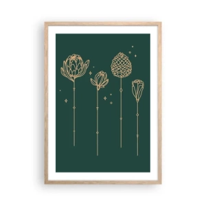 Een poster in een licht eiken lijst - Kruidenfamiie / Familie Ziółkowsi ?? - 50x70 cm