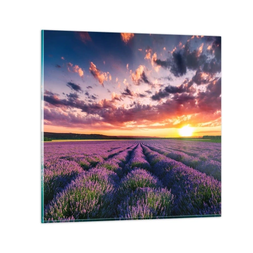 Schilderen op glas - Lavendel wereld - 40x40 cm