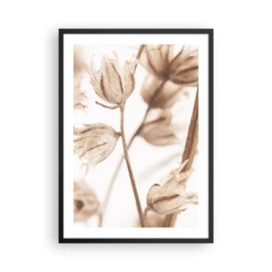 Poster in een zwarte lijst - Gedroogde planten in sepia op een lichte achtergrond - 50x70cm - Ze bellen eind zomer - Moderne wanddecoratie voor woonkamer en slaapkamer ARTTOR