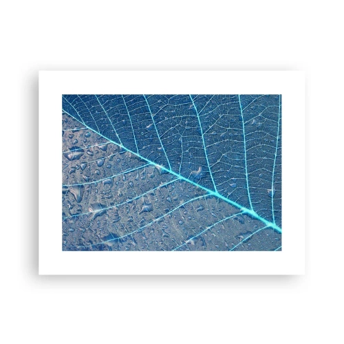 Poster - Leven in blauw - 40x30 cm