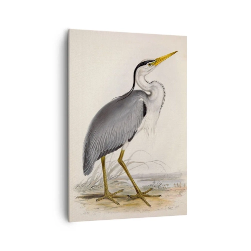 Schilderen op canvas - Charmes van de reiger - 70x100 cm