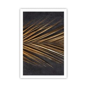 Poster - Het goud van de tropen - 61x91 cm