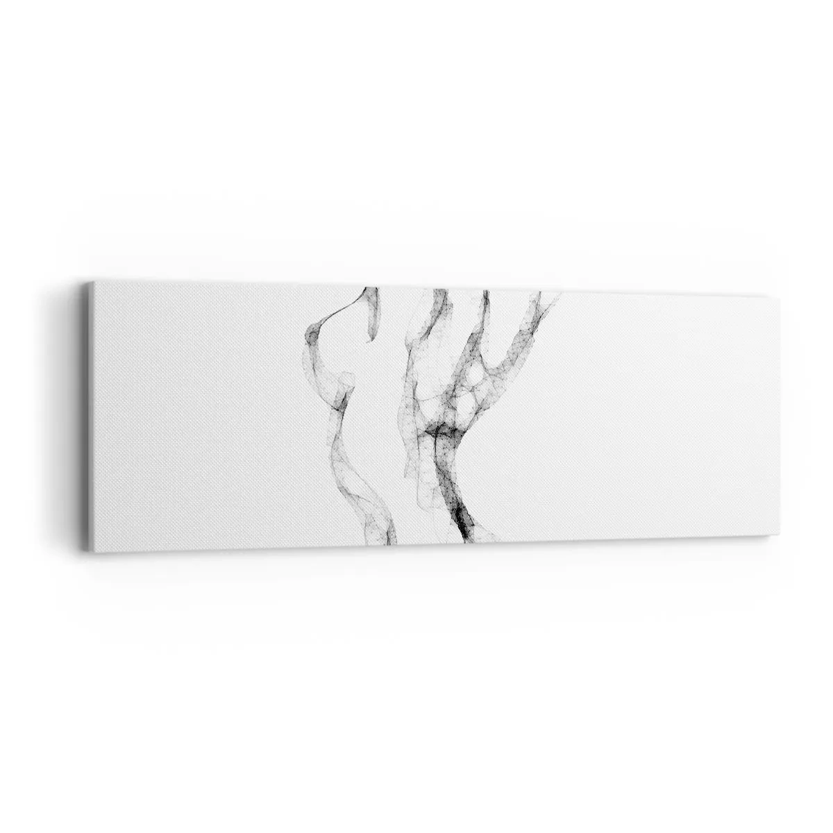 Schilderen op canvas - Mooi en sterk - 90x30 cm