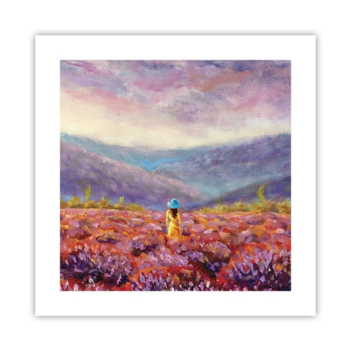 Poster - In een lavendelwereld - 40x40 cm