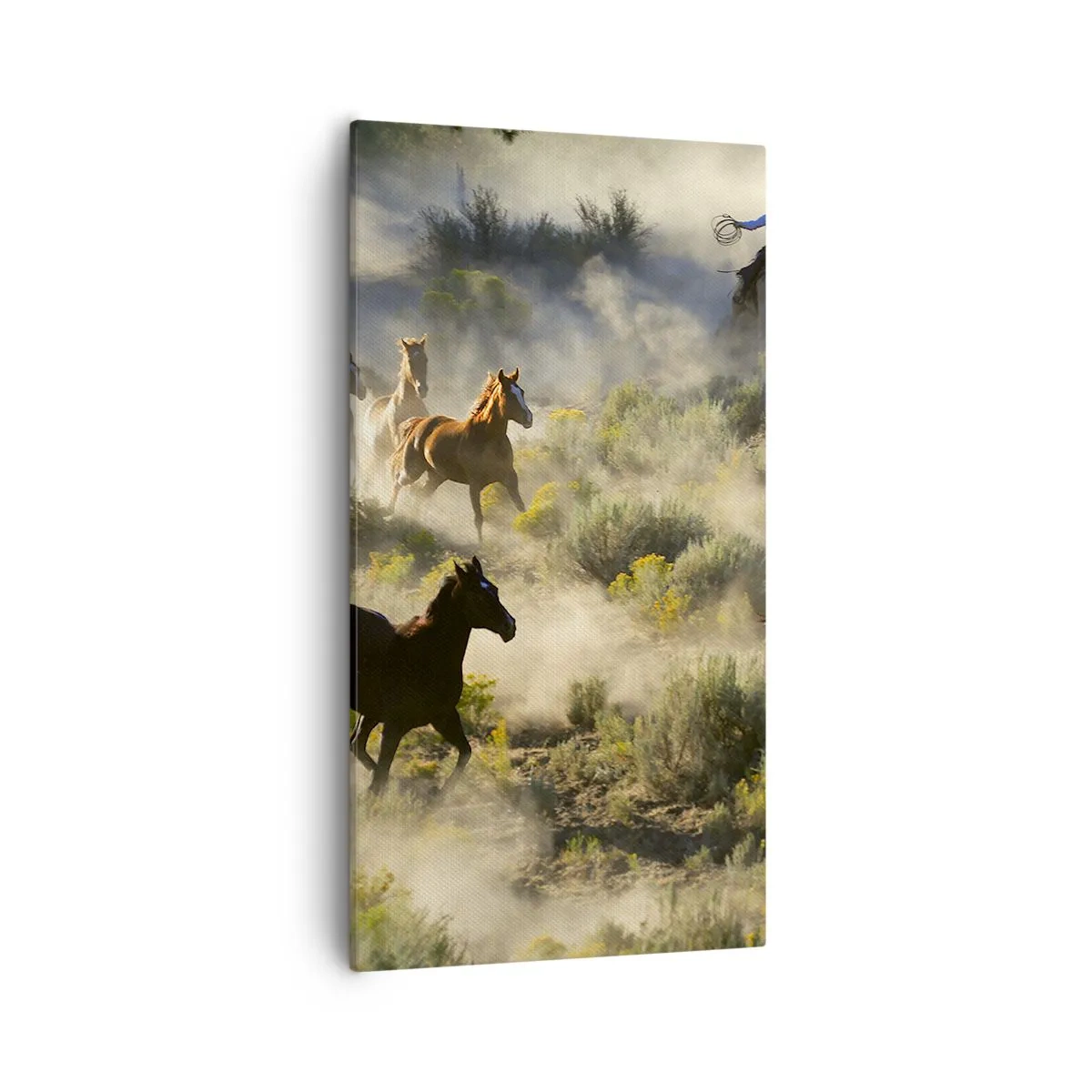 Schilderen op canvas - Rivaliteit - vrijheid of mannelijke kracht? - 55x100 cm