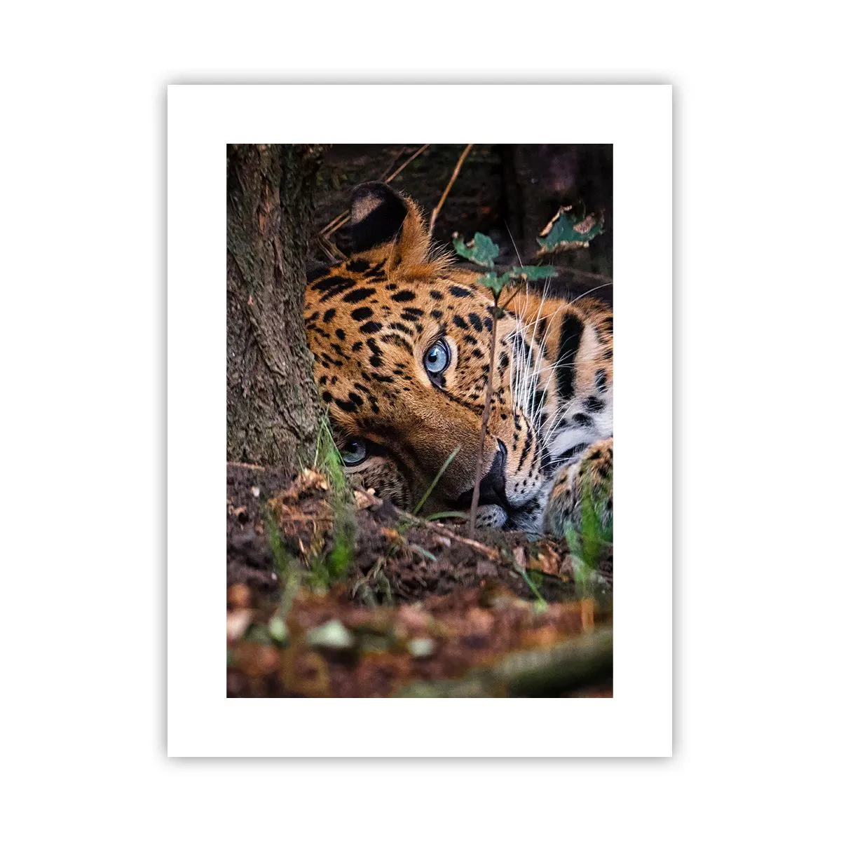 Poster - Geloof me - 30x40 cm
