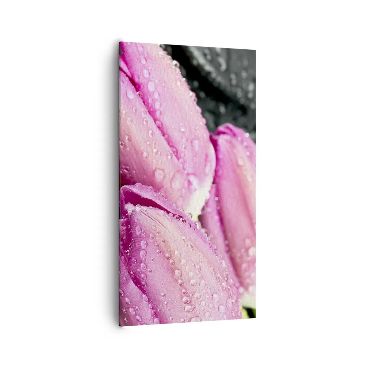 Schilderen op canvas - Lila drie op een zwarte steen - 65x120 cm