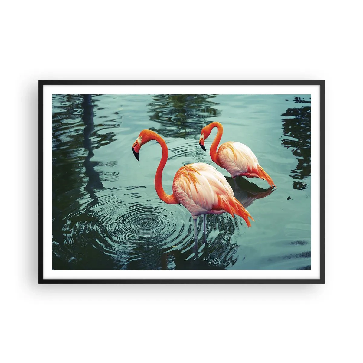 Poster in een zwarte lijst - We zijn nu in de mode - 100x70 cm