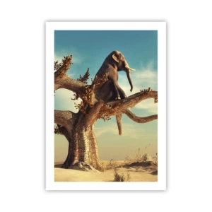 Poster - Een nieuw gezichtspunt - 50x70 cm