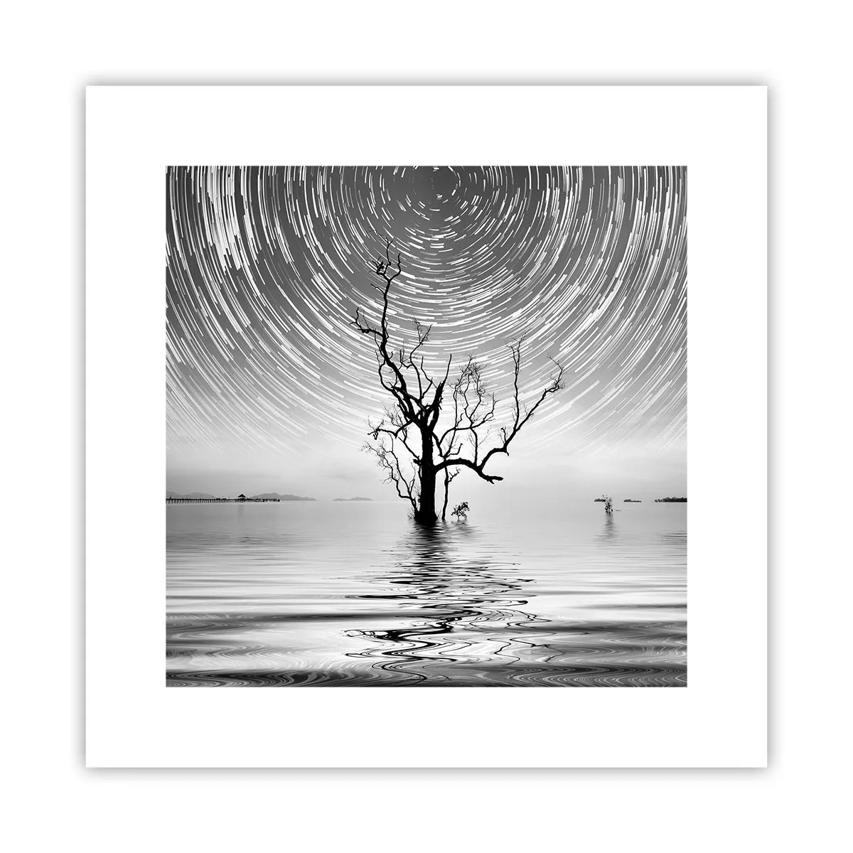 Poster - Een symfonie van de natuur - 30x30 cm