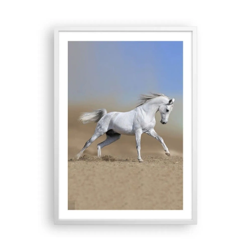 Poster in een witte lijst - Het mooiste Arabische sprookje - 50x70 cm