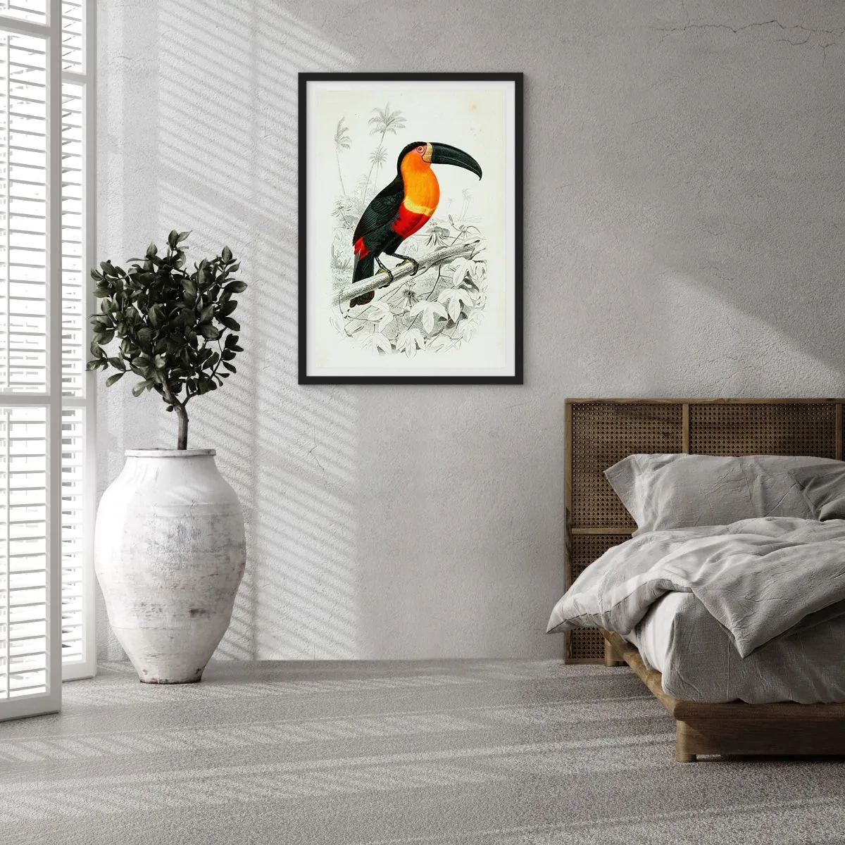 Poster in een zwarte lijst - Kleuren van vogels - 40x50 cm