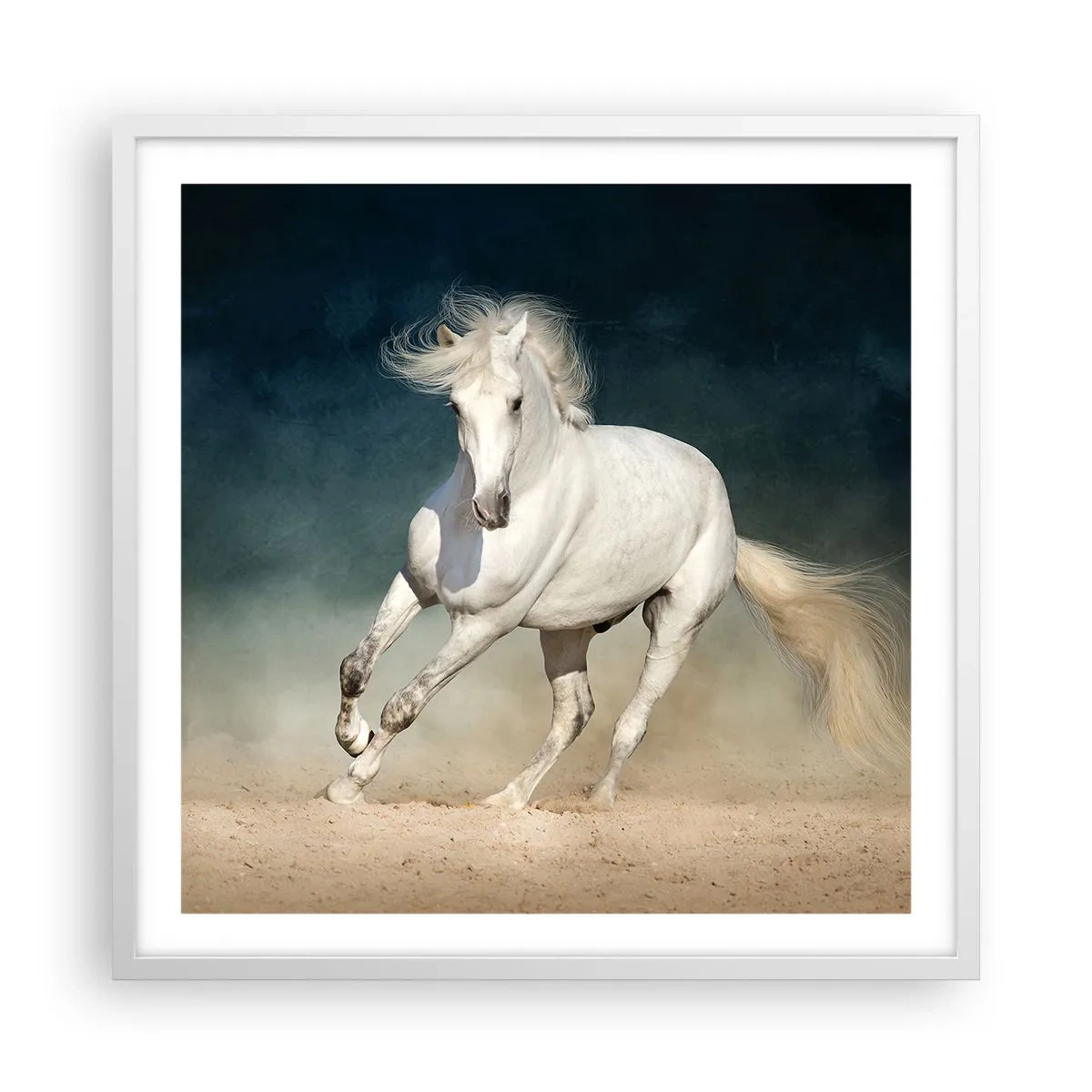 Poster in een witte lijst - Vrijheid in zijn pure staat - 60x60 cm