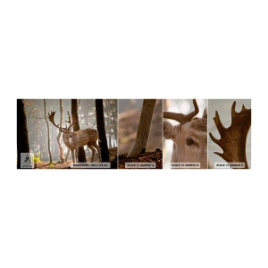 Fotobehang Monster Zelfklevend Deluxe Sticker - Het licht van de jeugd - Dieren, Hert, Woud - 100x30 cm