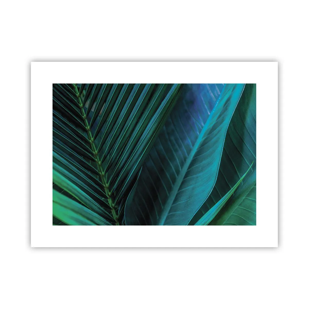 Poster - De anatomie van groen - 40x30 cm