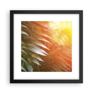 Poster in een zwarte lijst - Ochtend in de jungle - 30x30 cm