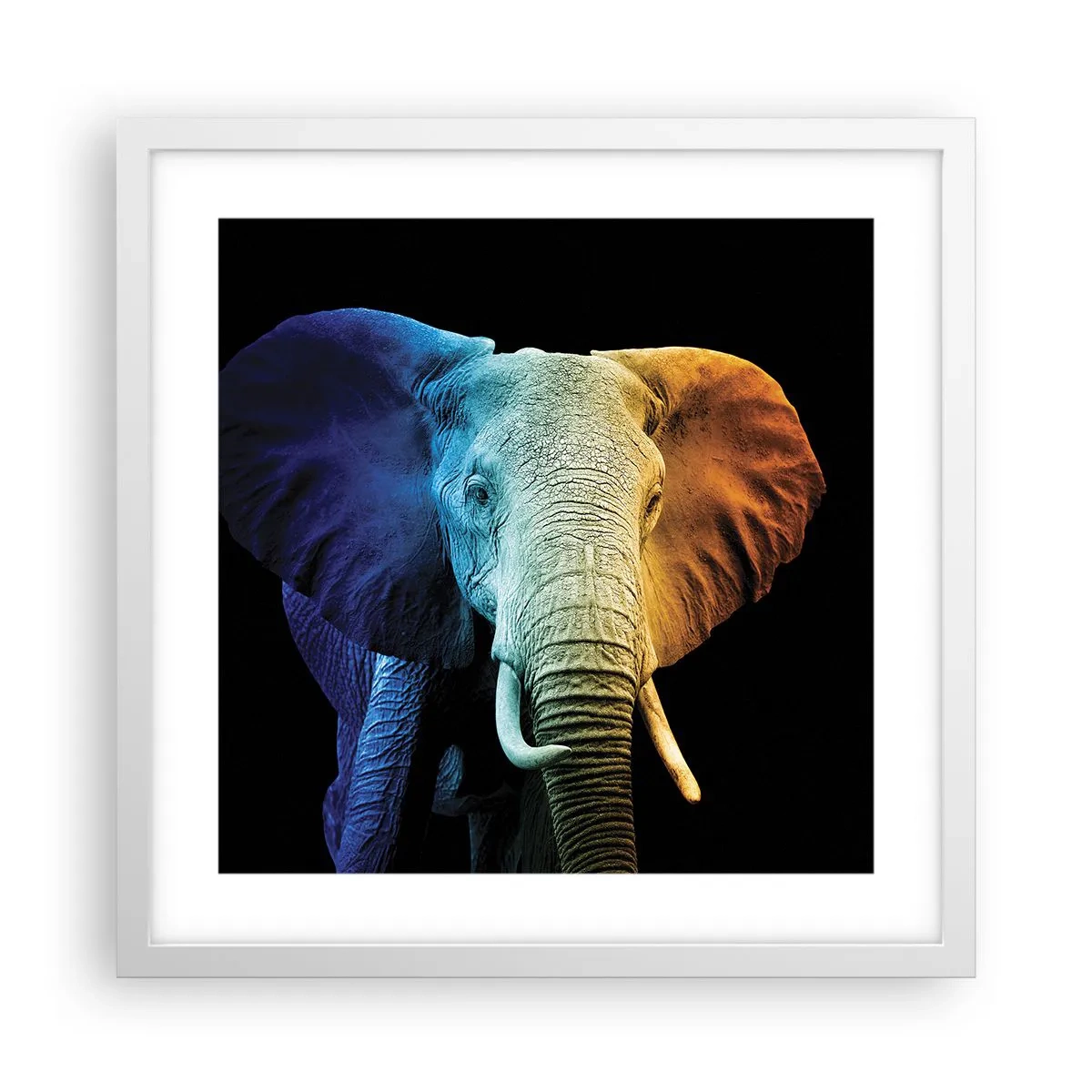 Poster in een witte lijst - Excentriek, niet raar - 40x40 cm