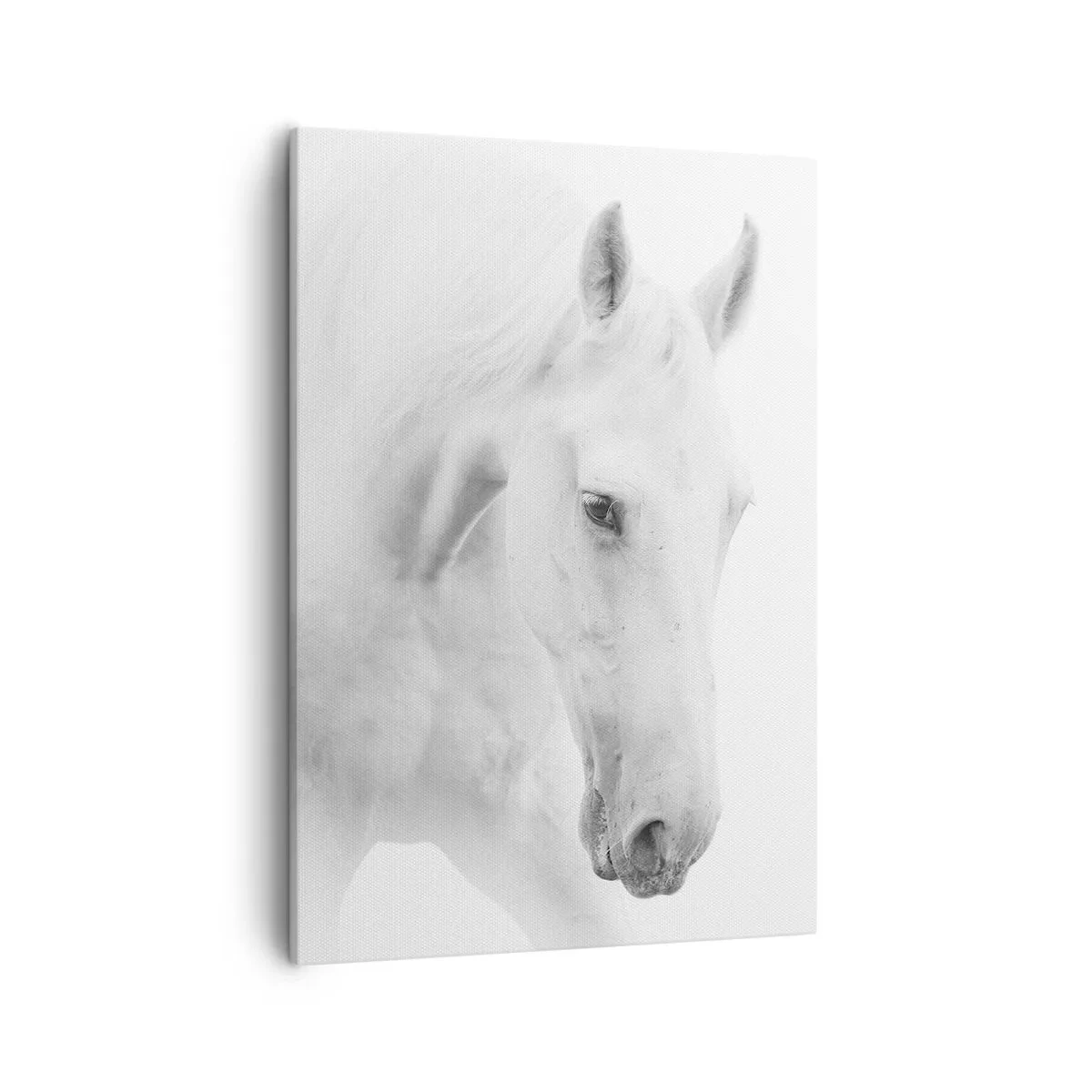 Schilderen op canvas - Is dit vriendschap...? - 50x70 cm