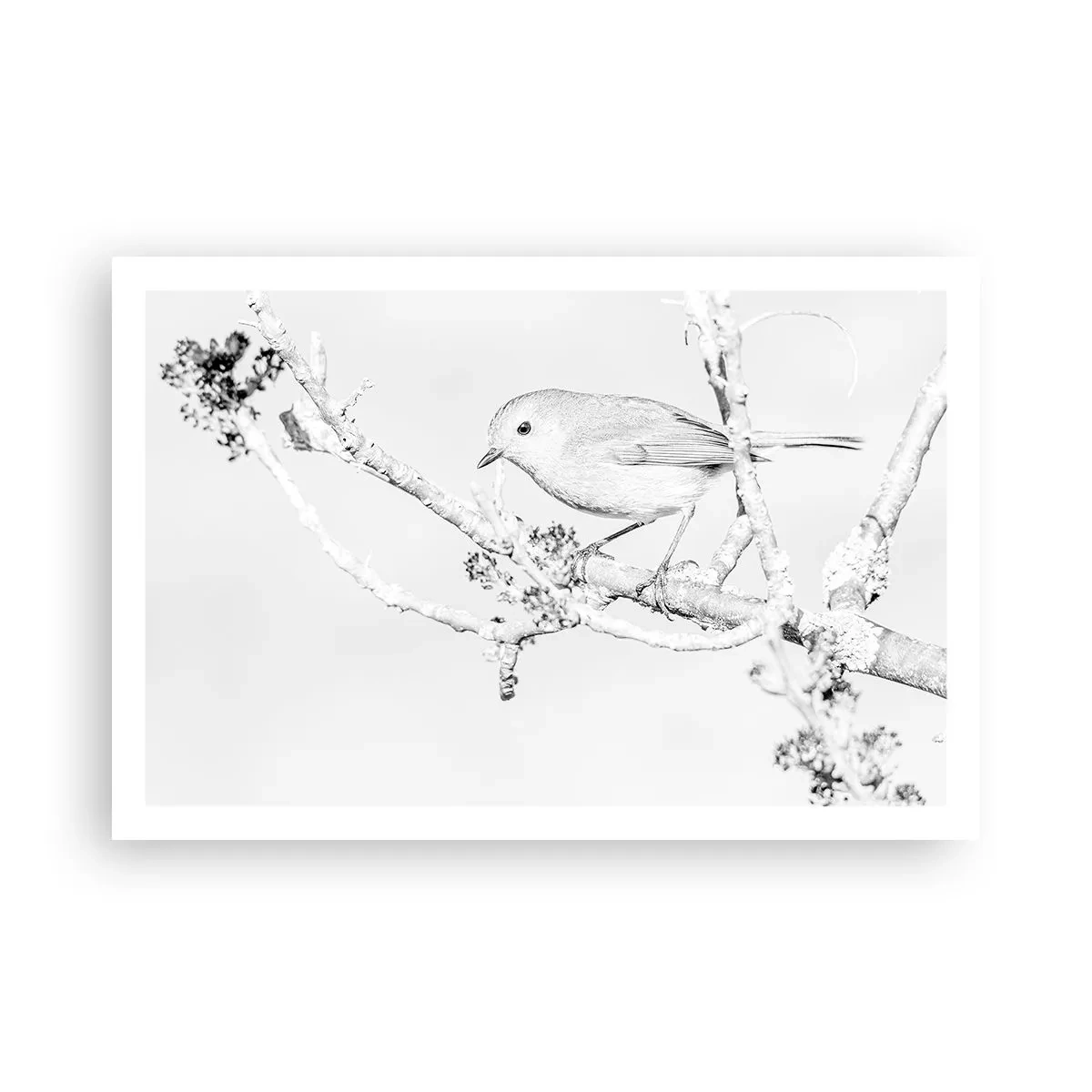 Poster - Winterochtend - 91x61 cm